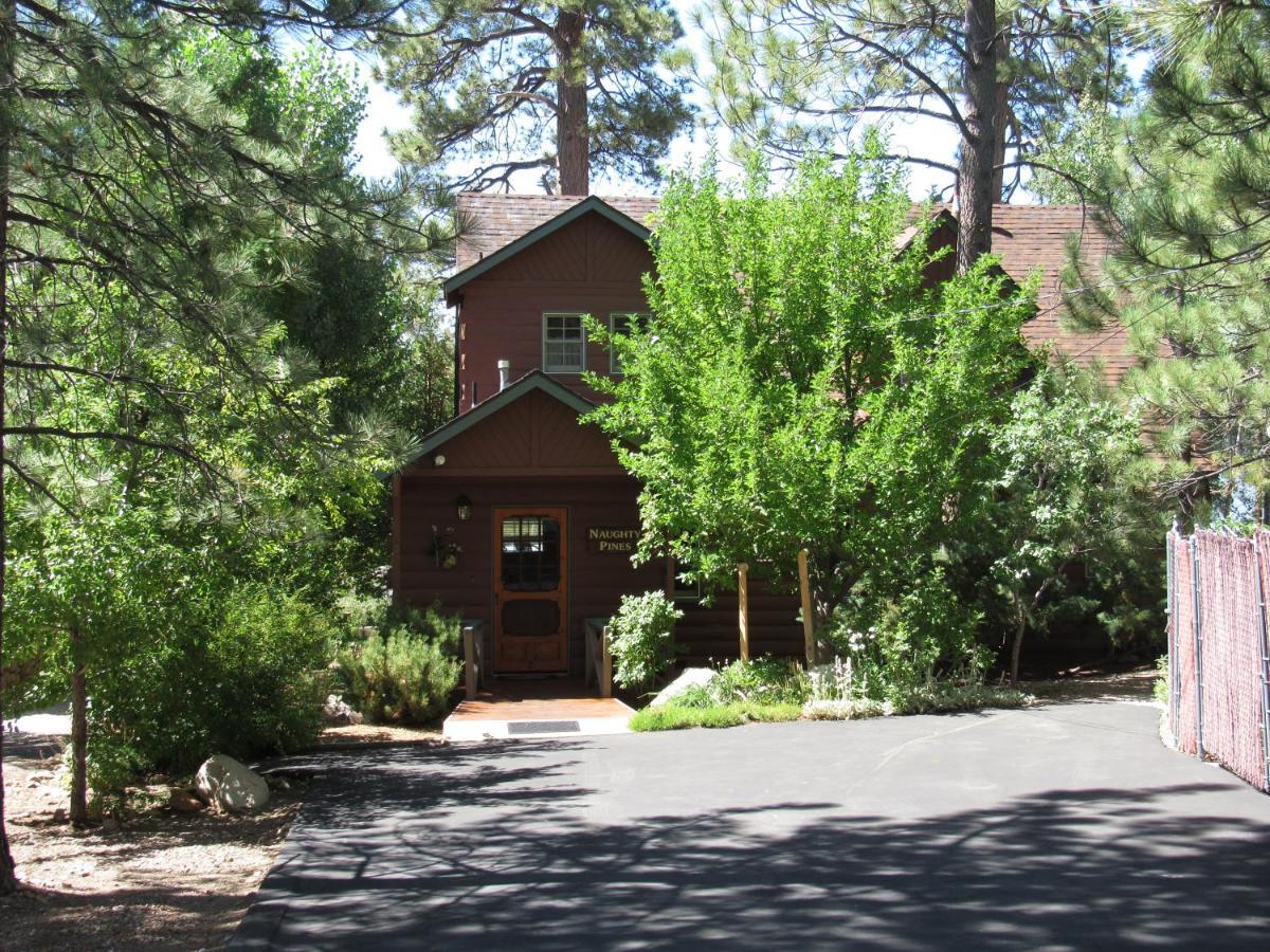 Naughty Pines Villa Big Bear Lake Exterior photo